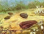 El Período Precámbrico