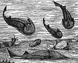 periodo Silúrico - paleozoico