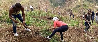 Servicio Social Rural