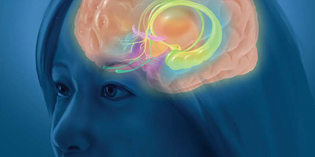 SIGLO XXI - PEDAGOGIA DE LA EMOCIONALIDAD