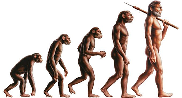 Nascita del genere Homo