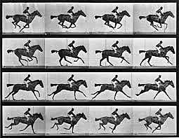 La apuesta el caballo volador (Muybridge)