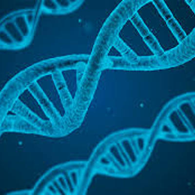 Timeline: Història de la Genètica