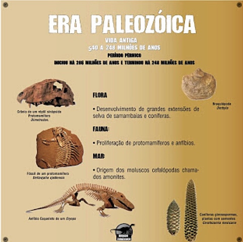Era paleozoica