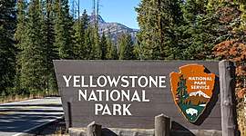 Timeline: PARQUE NACIONAL YELLOWSTONE