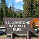 Parque nacional de yellowstone