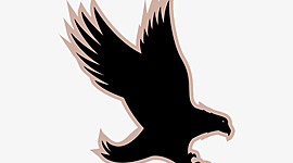 Timeline: TELECOMUNICACIONES