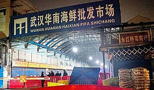 Wednesday, Huanan Seafoodwhole sale closed