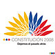 Foto constitucion 2008