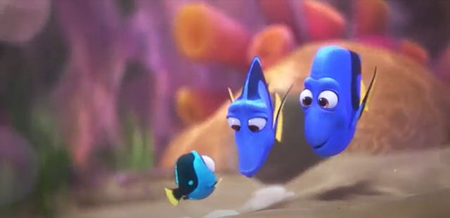 FINITO IL NASCONDINO