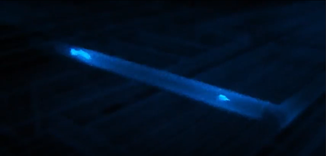 DORY CHE AD UN CERTO PUNTO TROVA NEMO