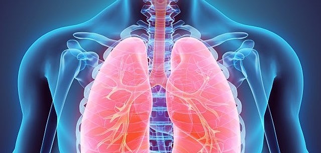 entre el día 12 y 13