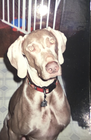 Saying goodbye to rebel