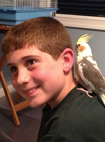 The Long Lasting Pet