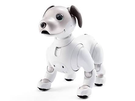 Perro robot.