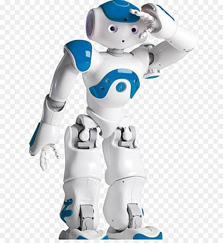 Nao Robot.