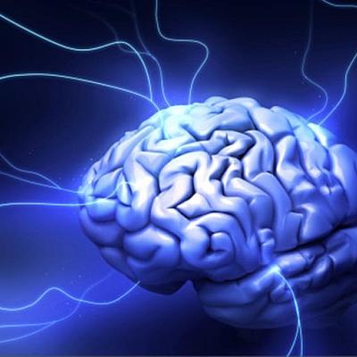 Timeline: Actividad 1: Foro ¿De dónde viene y para dónde va el cerebro?