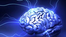 Timeline: Actividad 1: Foro ¿De dónde viene y para dónde va el cerebro?