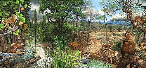 Extinción de algunas especies de reptiles pero permanecen familias de roedores y reptiles pequeños