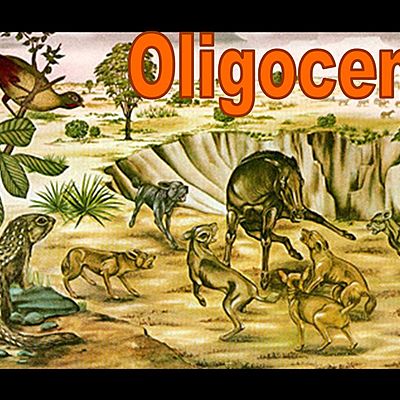 Timeline: El tiempo Geologico