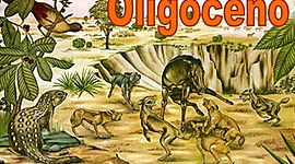 Timeline: El tiempo Geologico