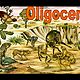 Oligoceno (1)