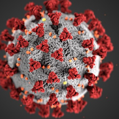 Timeline: Coronavirus o Covid-19