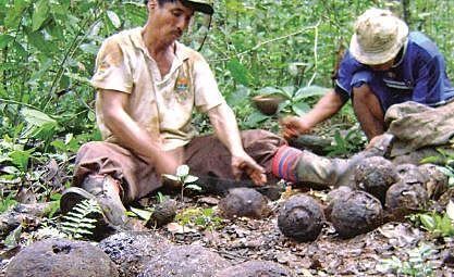 Dos pueblos indígenas aislados ya tienen casos positivos a Covid