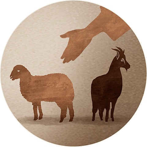 Se juzga a las ovejas y las cabras  (Mat. 25:31-33)