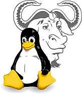 LINUX