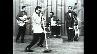 Hound Dog by Elvis came out