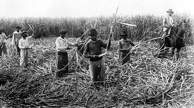 Explotación por parte de EUA