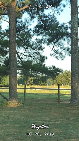 Hottest Day of the Year