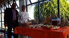 Timeline: LOGROS E HISTORIA PARTICIPACIÓN POLITICA MUJERES