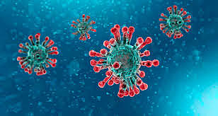 COVID 19 (CORONAVIRUS)
