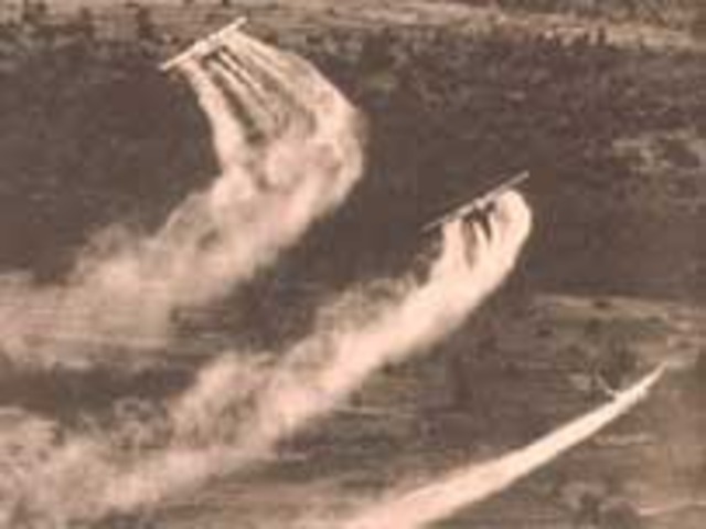 U.S. Military Employs Agent Orange