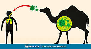 SÍNDROME RESPIRATORIO DEL ORIENTE MEDIO