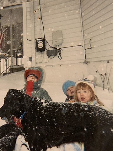 Moved To The Suburbs