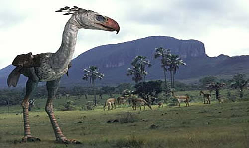 55 BCE Época Eoceno