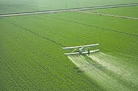 Herbicidas en la W.W.2