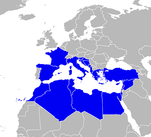 Conferencia del Mediterráneo