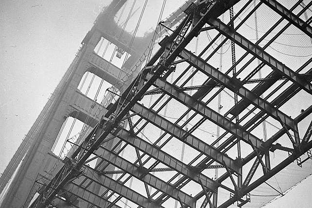 LA RED SOCIAL (Y VITAL)