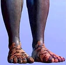 divided kingdoms(daniel 2) p.s this kindom will last to the second advent