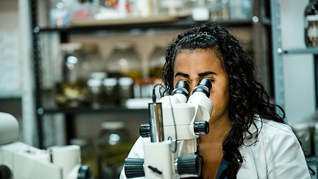 Iniciativa del Ministerio de Ciencia, Tecnología e Información