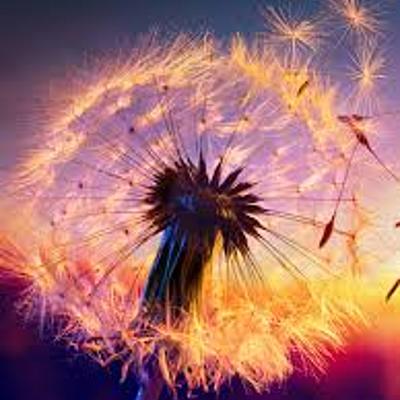 Timeline: Historia de vida