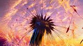 Timeline: Historia de vida