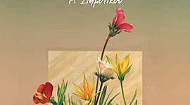 Timeline: Μελέτη Περιβάλλοντος Α' Δημοτικού