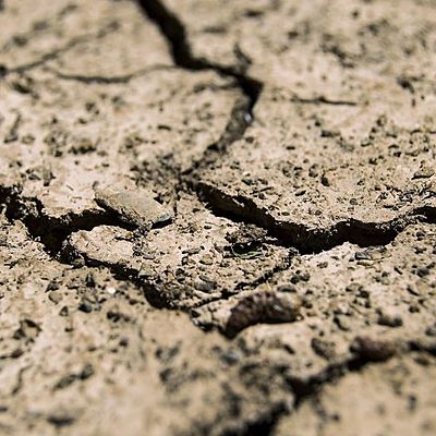 Timeline: Edafología, ciencia que estudia el suelo