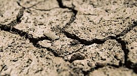 Timeline: Edafología, ciencia que estudia el suelo