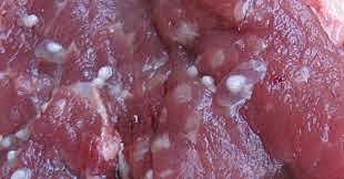 Al exponerse a comer carnitas